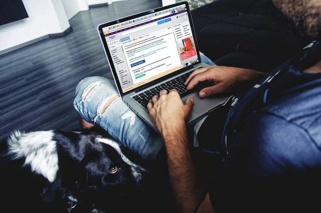 man working on a laptop at home with a calm black and white dog beside him.