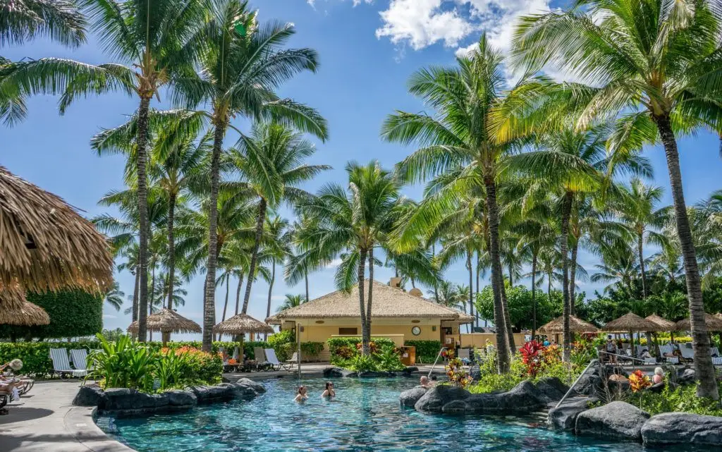 Marriott Breach Impacts Millions 3 serene tropical resort pool surrounded by palm trees and vibrant flowers, perfect for relaxation.